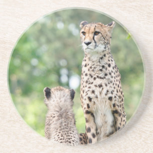 Cheetah 004 coaster