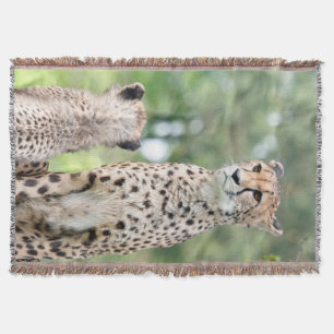Cheetah 004 throw blanket