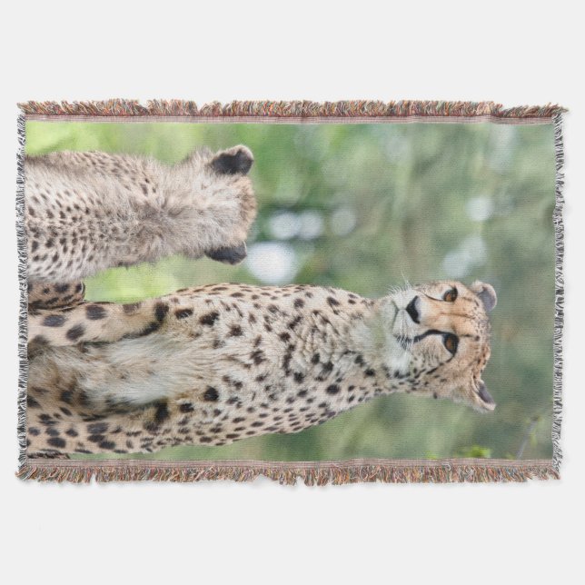 Cheetah 004 throw blanket (Front)
