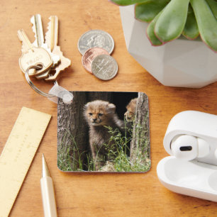 Cheetah 005 key ring