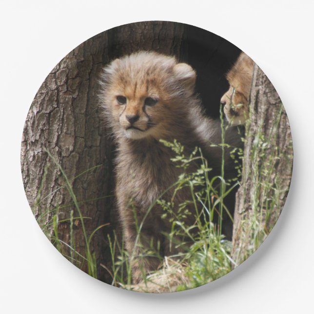 Cheetah 005 paper plate (Front)