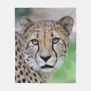 Cheetah 009 fleece blanket