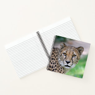 Cheetah 009 notebook