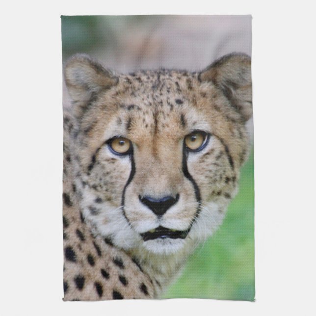 Cheetah 009 tea towel (Vertical)