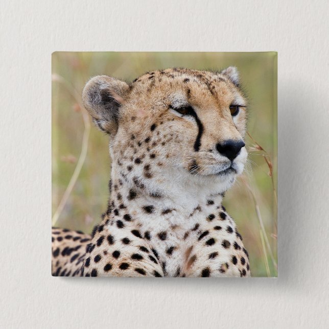 Cheetah 15 Cm Square Badge (Front)