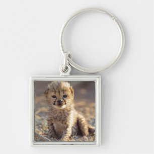 Cheetah 19 days old male cub key ring