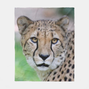 Cheetah_2014_0901 Fleece Blanket