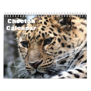 Cheetah 2026 calendar