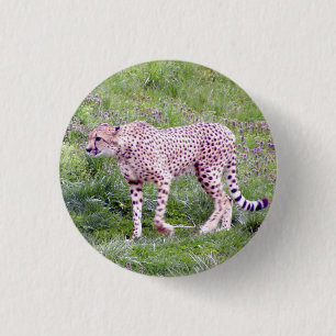 Cheetah 3 Cm Round Badge