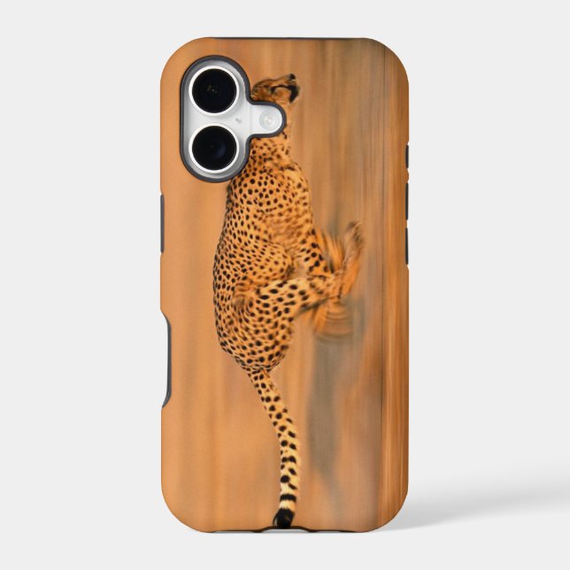 Cheetah 4 (Back)