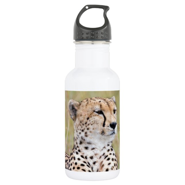 Cheetah 532 Ml Water Bottle (Front)