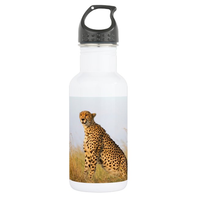 Cheetah 532 Ml Water Bottle (Front)