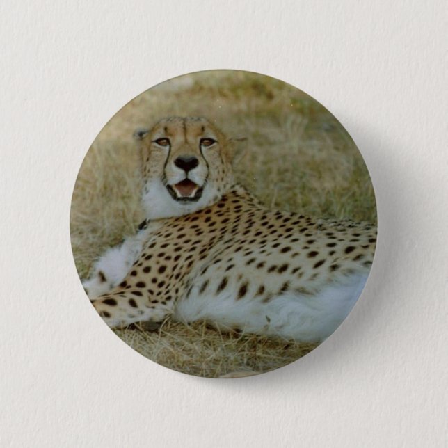 Cheetah 6 Cm Round Badge (Front)