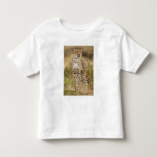 Cheetah, Acinonyx jubatus, in the Masai Mara Toddler T-Shirt (Front)