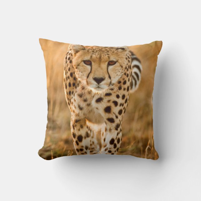 Cheetah (Acinonyx Jubatus) Portrait, Maasai Cushion (Front)