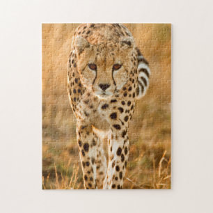 Cheetah (Acinonyx Jubatus) Portrait, Maasai Jigsaw Puzzle