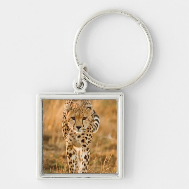 Cheetah (Acinonyx Jubatus) Portrait, Maasai Key Ring (Front)