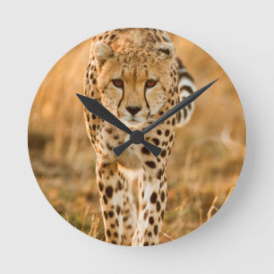Cheetah (Acinonyx Jubatus) Portrait, Maasai Round Clock