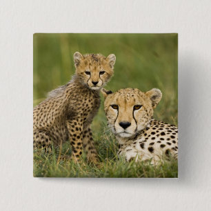 Cheetah, Acinonyx jubatus, with Cub 15 Cm Square Badge