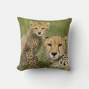 Cheetah, Acinonyx jubatus, with Cub Cushion