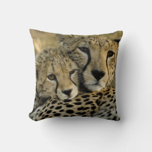 Cheetah, Acinonyx jubatus, with cub in the Masai 2 Cushion
