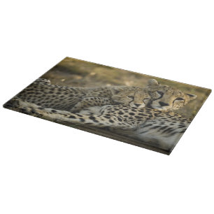 Cheetah, Acinonyx jubatus, with cub in the Masai 2 Cutting Board