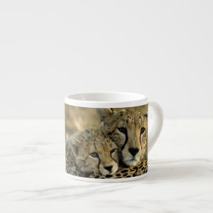Cheetah, Acinonyx jubatus, with cub in the Masai 2 Espresso Cup