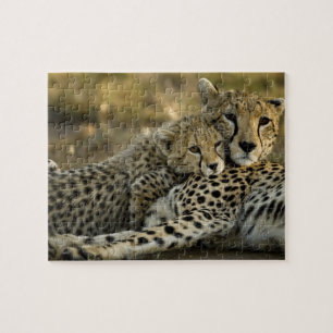 Cheetah, Acinonyx jubatus, with cub in the Masai 2 Jigsaw Puzzle