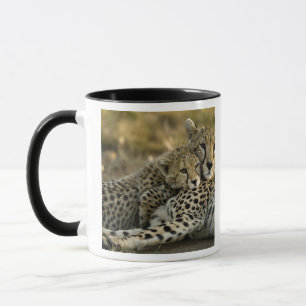 Cheetah, Acinonyx jubatus, with cub in the Masai 2 Mug