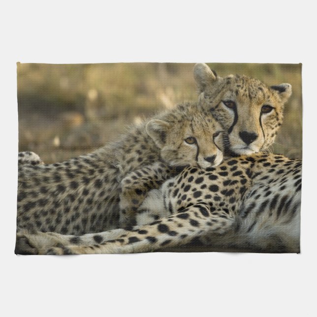 Cheetah, Acinonyx jubatus, with cub in the Masai 2 Tea Towel (Horizontal)