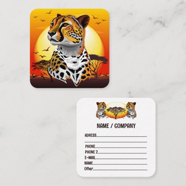 Cheetah African Feline Wild Animal Square Business Card (Front/Back)