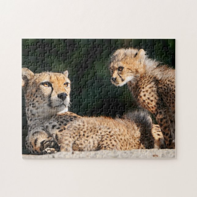 Cheetah and Cub Puzzle (Horizontal)