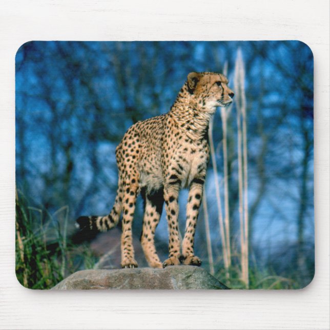 Cheetah animal mouse pad (Front)