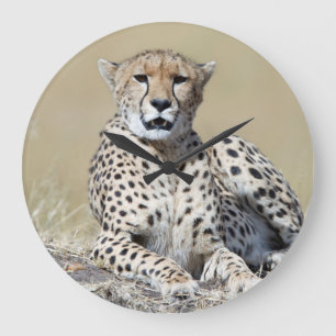 Cheetah at the Masai Mara in Kenya photo Large Clock
