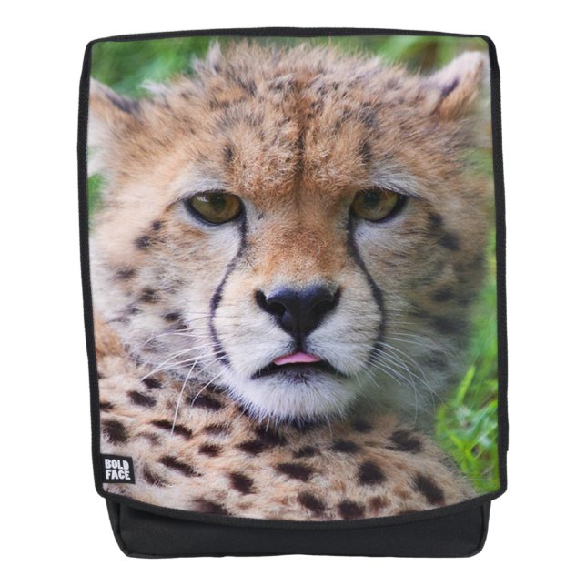 Cheetah Backpack (Front)
