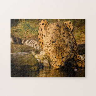 Cheetah Big Cats. Jigsaw Puzzle