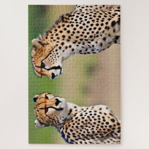 Cheetah Brothers Jigsaw Puzzle