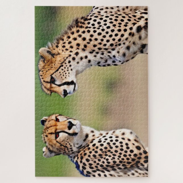 Cheetah Brothers Jigsaw Puzzle (Vertical)