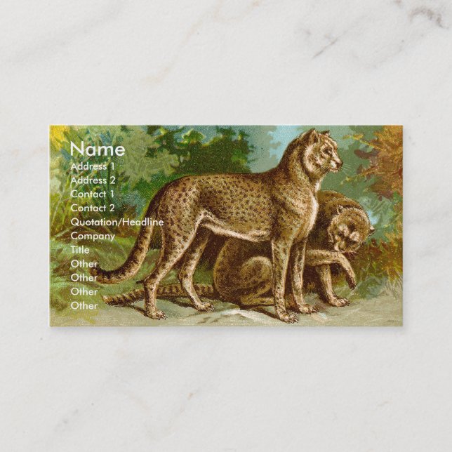Cheetah Business Card (Front)