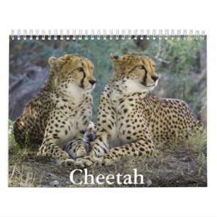 Cheetah Calendar