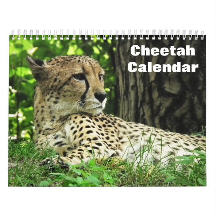 Cheetah Calendar