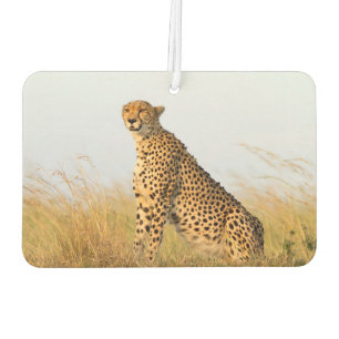 Cheetah Car Air Freshener