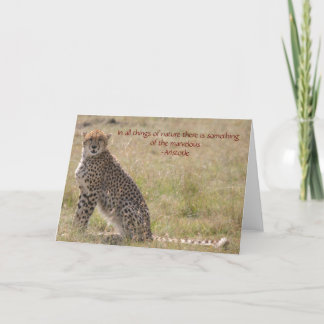 Cheetah Card