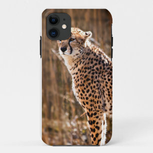 Cheetah iPhone 11 Case
