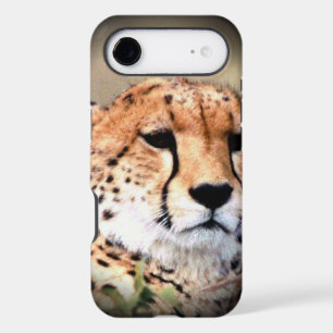 Cheetah Case-Mate iPhone Case