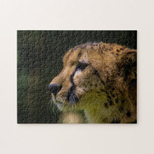 Cheetah Chillin! Jigsaw Puzzle