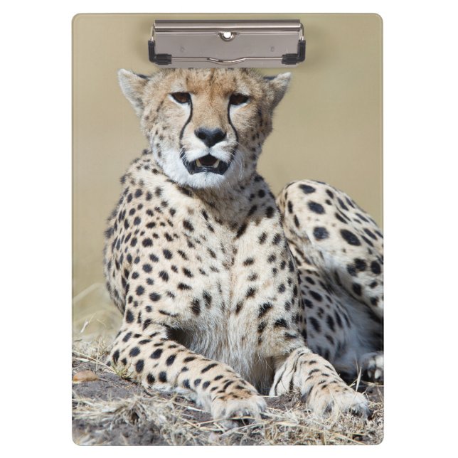 Cheetah Clipboard (Front)