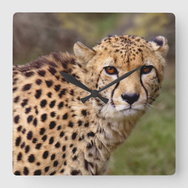 Cheetah Clock (Front)