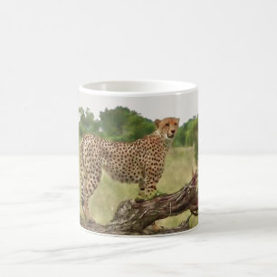 cheetah coffee mug