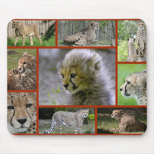 Cheetah-Collage 001 Poster Mouse Pad (Front)
